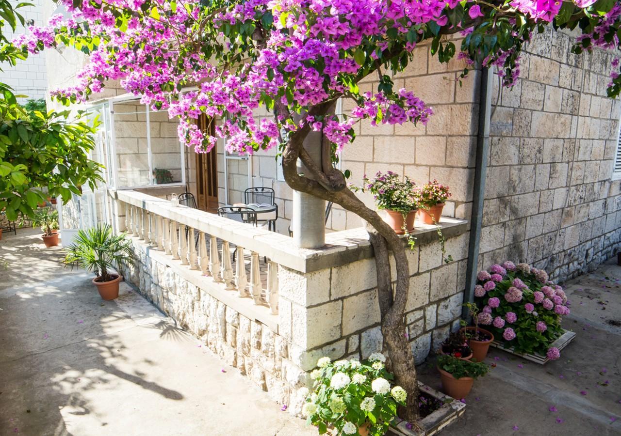 Apartments Bungevilla Dubrovnik Buitenkant foto
